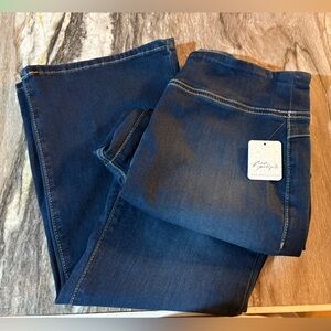 NWT We The Free In My Feelings Mid Rise Boot Crop Denim size Medium
